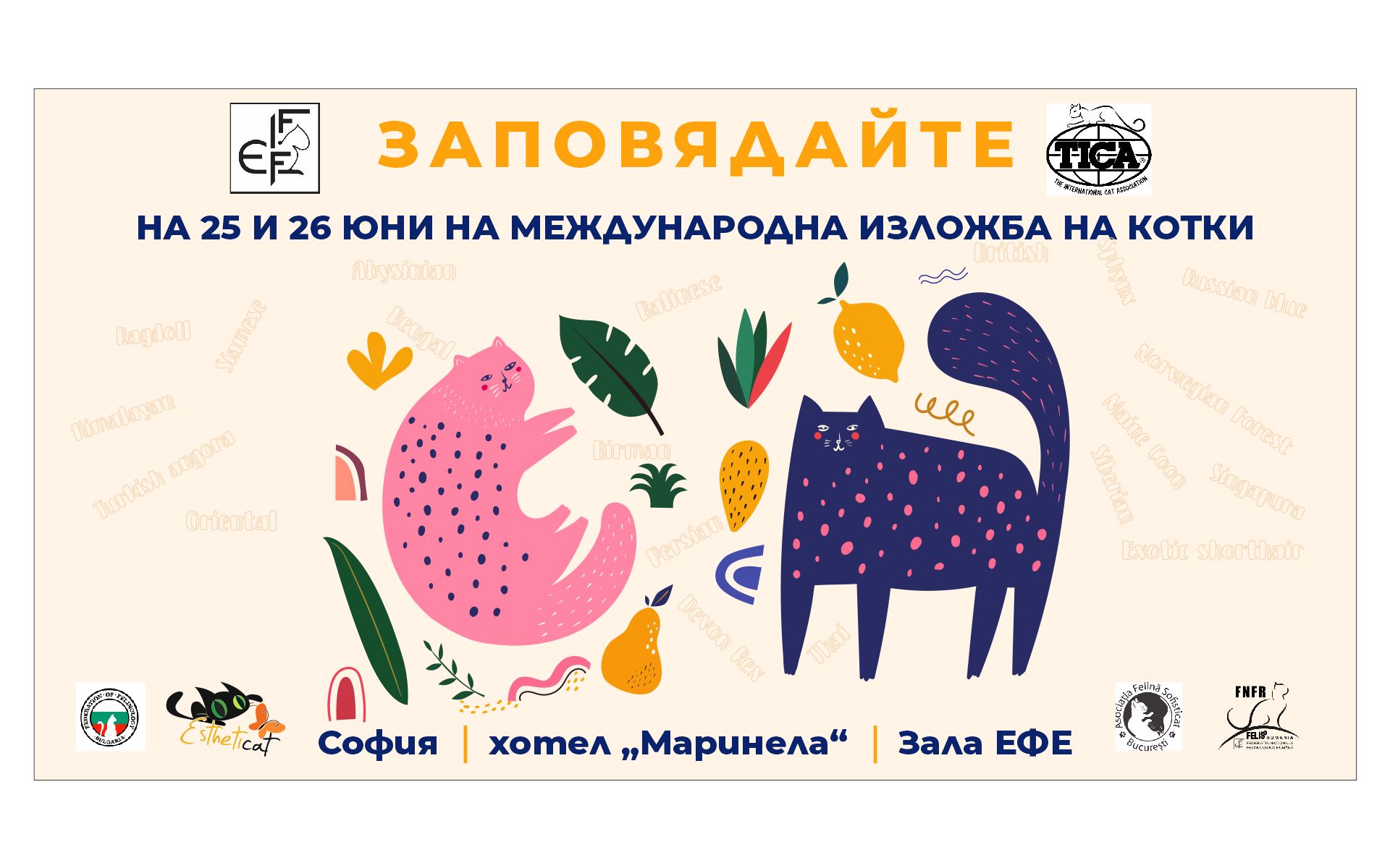 Международна изложба на котки "Hello Summer" 2022