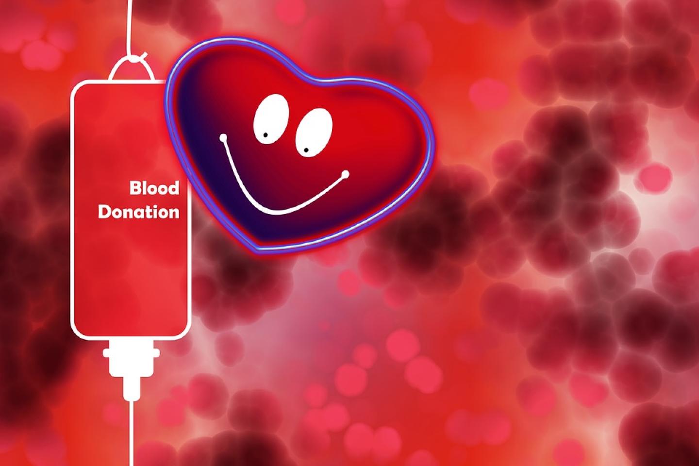 14.06 - Световен ден на доброволния и безвъзмезден кръводарител