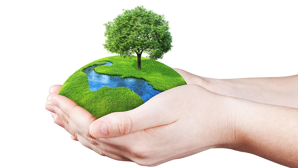 На 5 юни отбелязваме Световния ден на околната среда