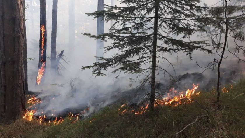 Пожарът в Казанлък е овладян
