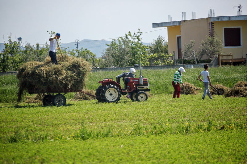 Поради скъпите цени на торовете албанските земеделци торят с утайка от кафе