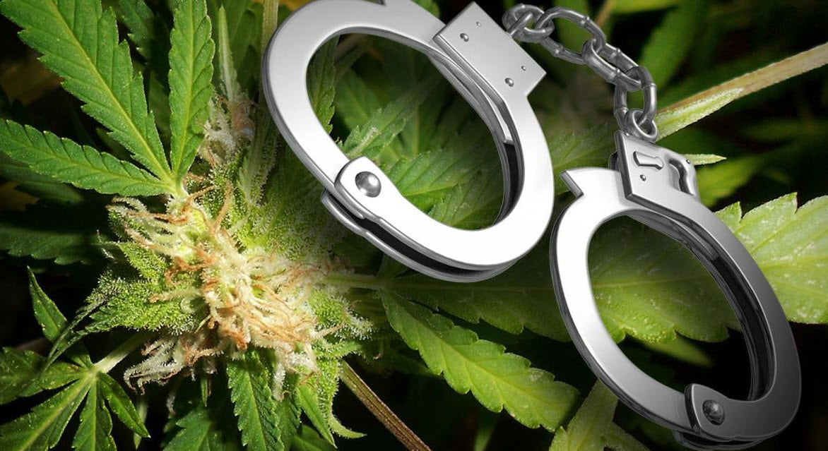 Арестуваха мъж, отглеждал марихуана в Русе