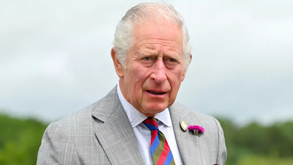 Принцът на Уелс: Мой дълг е да се тревожа за всички и живота им в тази страна