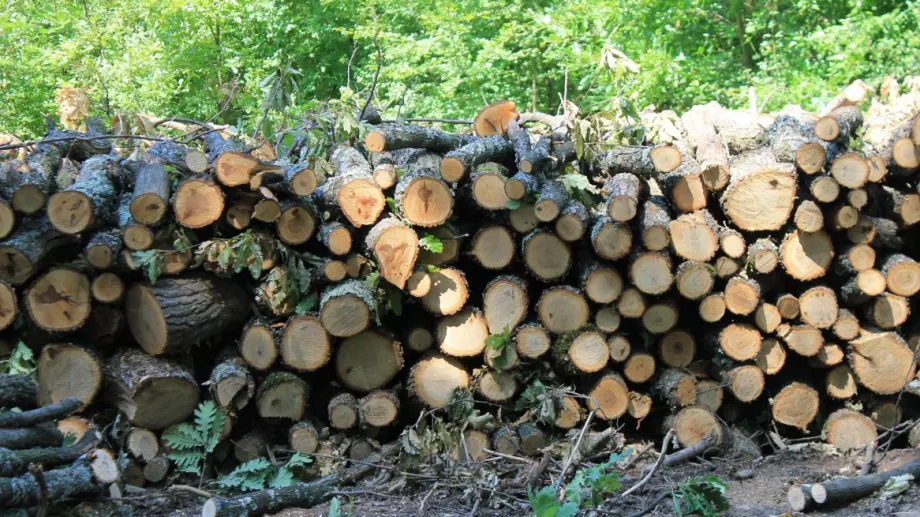 Колко струва кубик дърва в София
