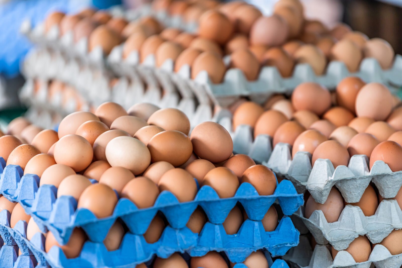 Агенцията по безопасност на храните ще проверява яйца и агнешко месо