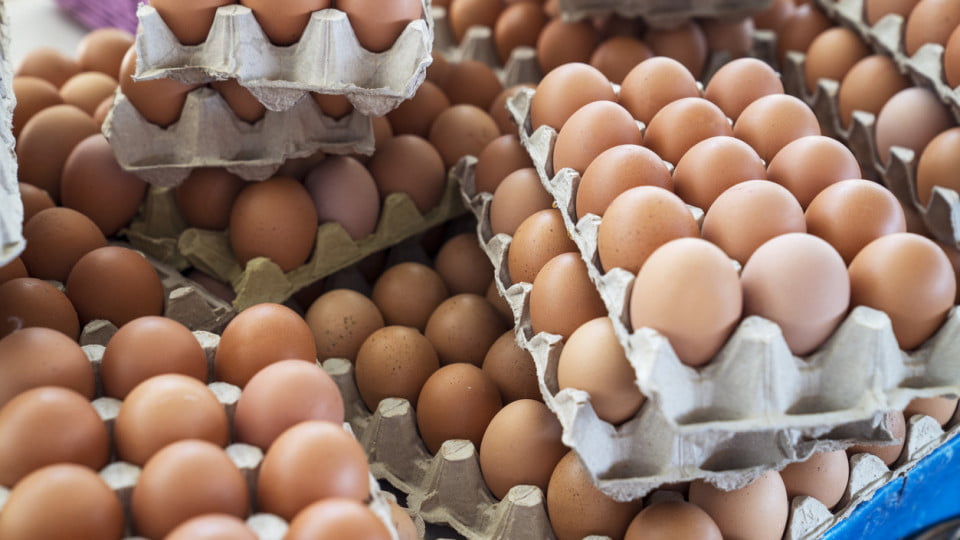 Агенцията по безопасност на храните установи, че яйцата от Украйна на пазара у нас са безопасни
