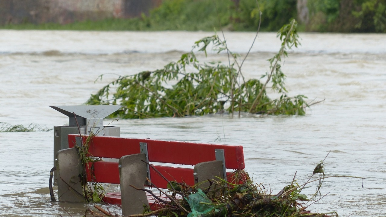 Наводненията в Северна Италия причиниха последици на реколтата от плодове