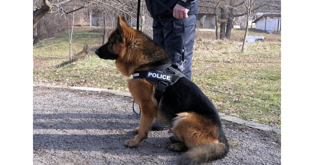 Полицейско куче успя да открие възрастна жена, изчезнала в село Водна