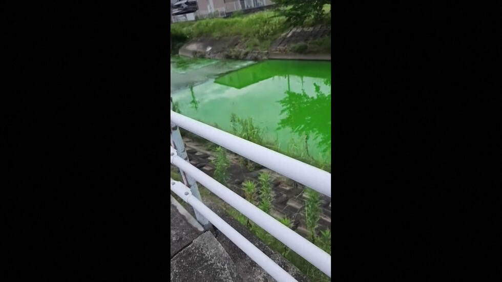Ярко зелен цвят на река изненада местни жители на японски град