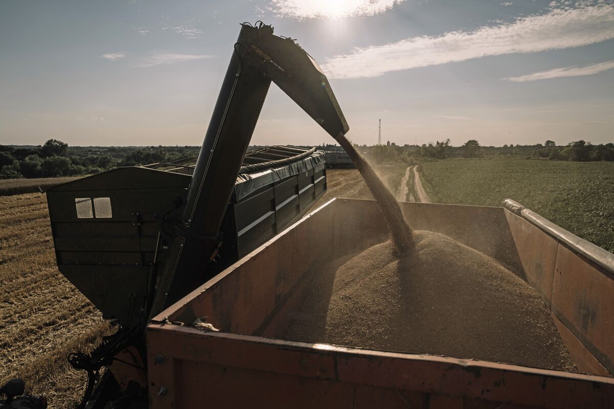 Европейската комисия предлага високи мита за руско зърно