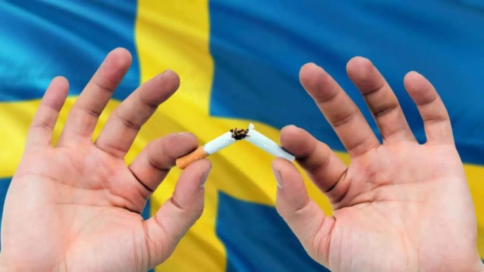 two hands cutting a cigarette against the background of the Swedish flag